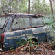 Illustration for article titled GHOST CARS ROTTING IN THE MISSISSIPPI SWAMP